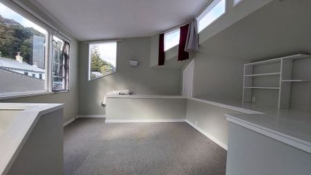 Sunny room in Mount Victoria - Photo 4