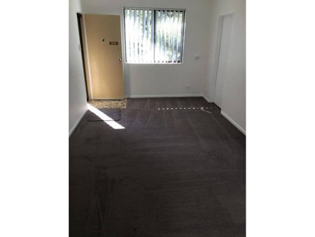 Renovated Two Bedroom Apartment - Photo 2