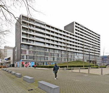 Professor de Moorplein, 403 - Photo 1