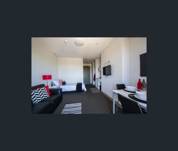 507/304 Waymouth St, Adelaide, SA 5000 - Photo 2