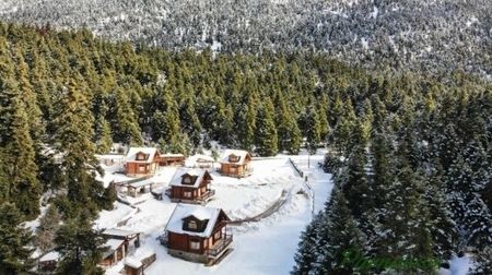 Μονοκατοικία για ενοικίαση Καλύβια (Αράχωβα) - Photo 2