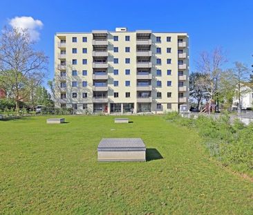 Hell, modern mit grossem Balkon und eigenem Waschturm - Foto 6