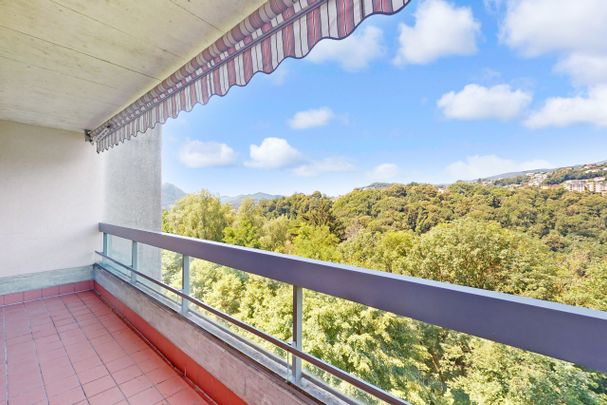 A due passi dalla città: Appartamento di 2.5 locali immerso nel verde - Foto 1