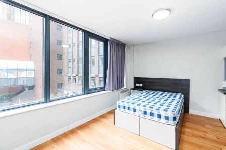 Premium Studio - Single - Photo 3