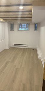 2 1/2 - Montréal (Le Plateau Mont-Royal) - 1 200 $/mois - Photo 3