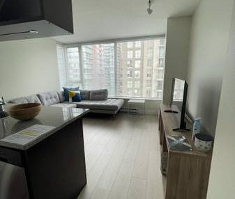 1 bedroom + den/office - Fully Furnished - Photo 1