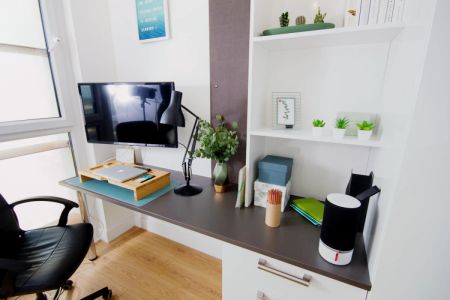 Penthouse Classic Studio with City View - Photo 3