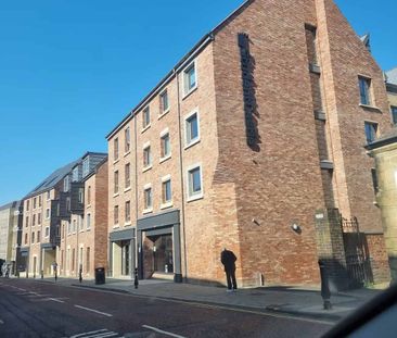 Hardy Studio - Photo 5