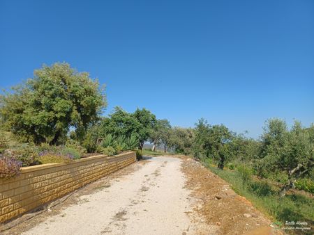 TH2023432 - Three bedroom villa - Photo 3