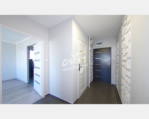 Szczecin - Фото 1