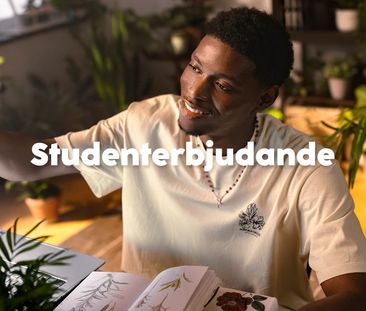 Bolmensgatan, Halmstad - Foto 3