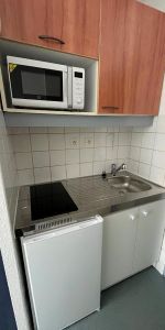 Location Appartement 1 pièce 25m² LYON 3ème - Photo 3