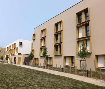 Appartement 1 pièce - - Photo 2