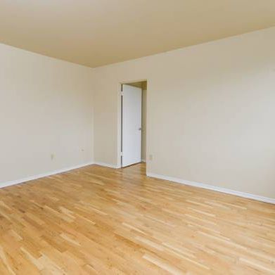 1 Bed, 1 Bath Apartment in Kitsilano - Photo 3