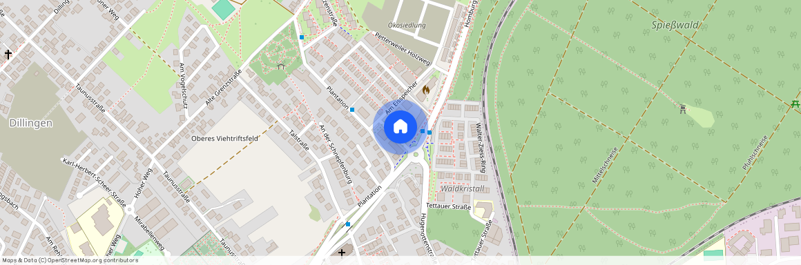 Am Eisspeicher 3, 61381 Hessen - Friedrichsdorf