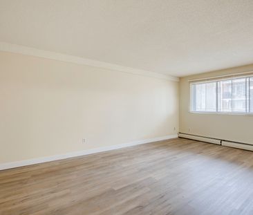 Elmwood II - Photo 5