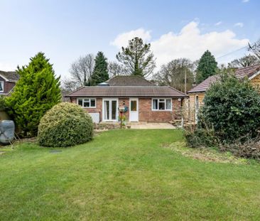 3 Bedroom Bungalow - Darvill Road, Ropley - Photo 4