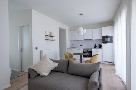 Rue du Colombier, 1000, Bruxelles - Photo 3