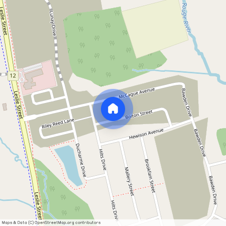 14 boiton Street, Richmond Hill
