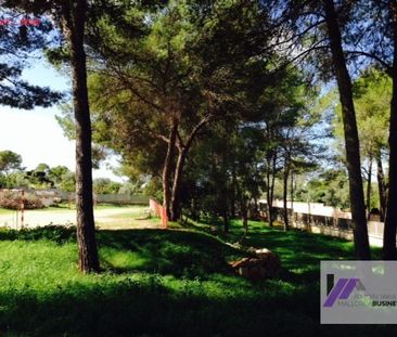 6 room luxury House for rent in Palma de Mallorca, Spain - Photo 6