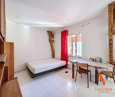 Location Appartement 1 pièce 19m² GRENOBLE 38000 - Photo 5