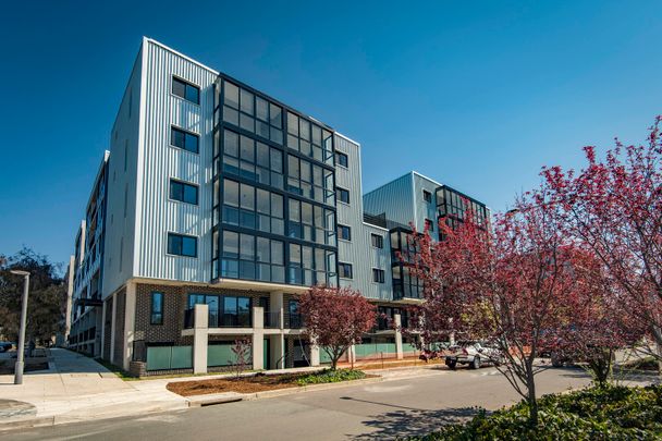 103/17 The Causeway, Kingston ACT 2604 - Apartment For Rent | Domain - Photo 1