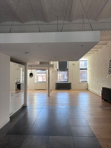 Loft 5 pièces à Lille - Photo 4