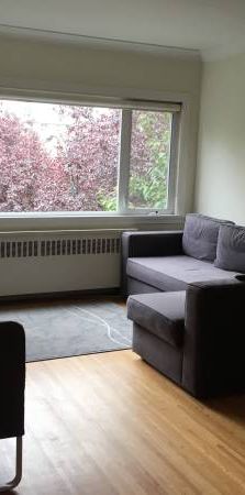 RENOVATED-AVAILABLE November 1-Pet Friendly Furnished 1 BR @ 1540 Haro - Photo 1