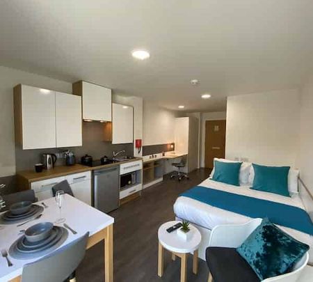 Studio Bronze - Photo 4