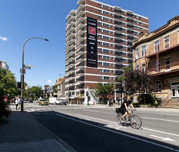 Le Plateau - 3605 St-Urbain - 1 Bedroom - 3605 Rue Saint-Urbain, Mo... - Photo 3