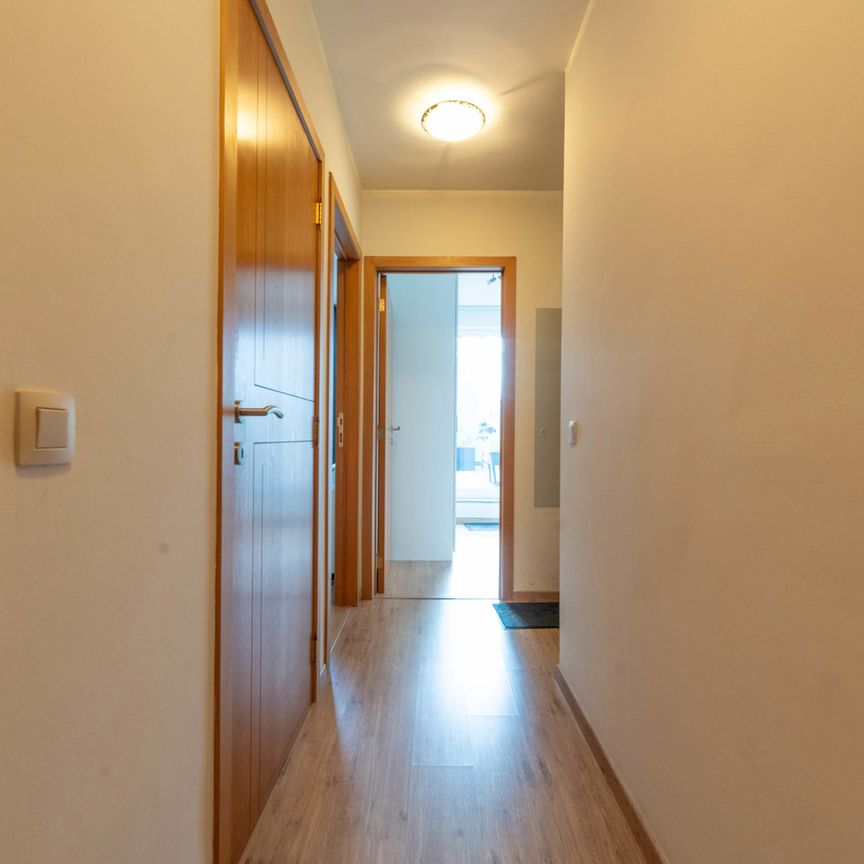 Reet - Appartement - Photo 1