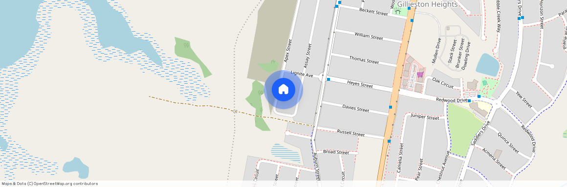 41a Apex Street, NSW 2321, Gillieston Heights