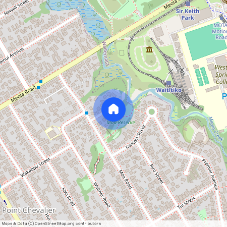 9D De Luen Street, Point Chevalier, Auckland City