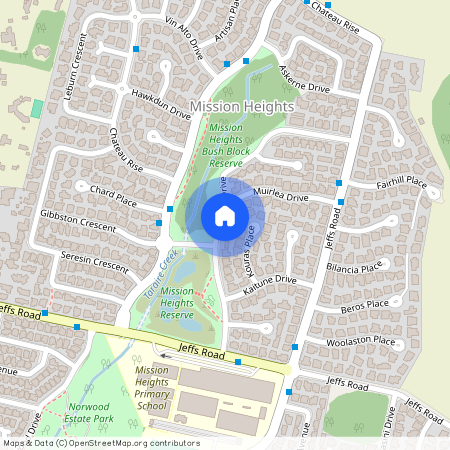 23 Packspur Drive, Flat Bush, Manukau City