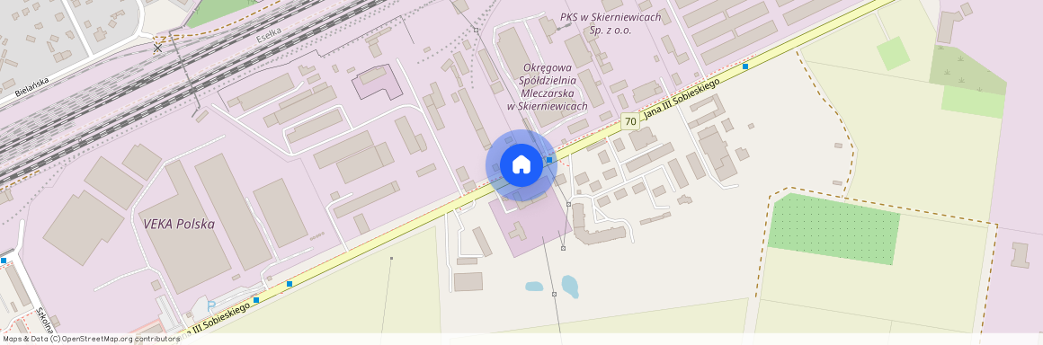 ul. Jana III Sobieskiego, Skierniewice, łódzkie