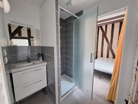 Location Appartement 1 pièce 23m² TOURS 37000 - Photo 4