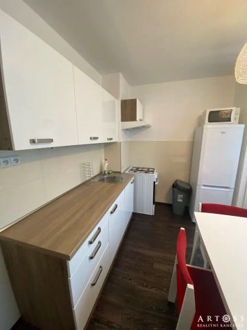 Pronájem bytu 1+1 s lodžií na ulici Božetěchova, Brno-Královo Pole CP 41,6 m - Fotografie 5