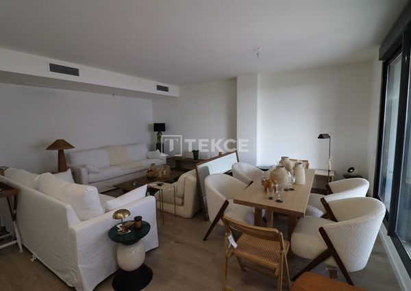 Badalona, La Morera, Barcelona, Catalonia 08918