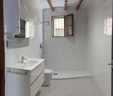 Planta baja de alquiler en Carrer de Can Socies, 6, Establiments - Photo 4