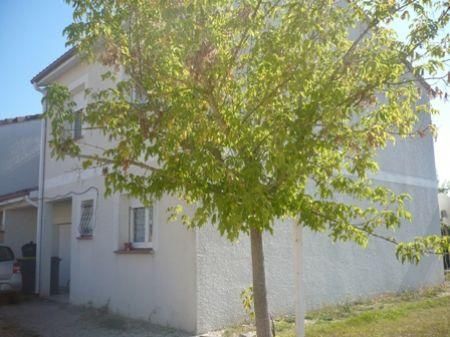 Location - Maison - 5 pièces - 95.00 m² - saint Etienne De Tulmont - Photo 3