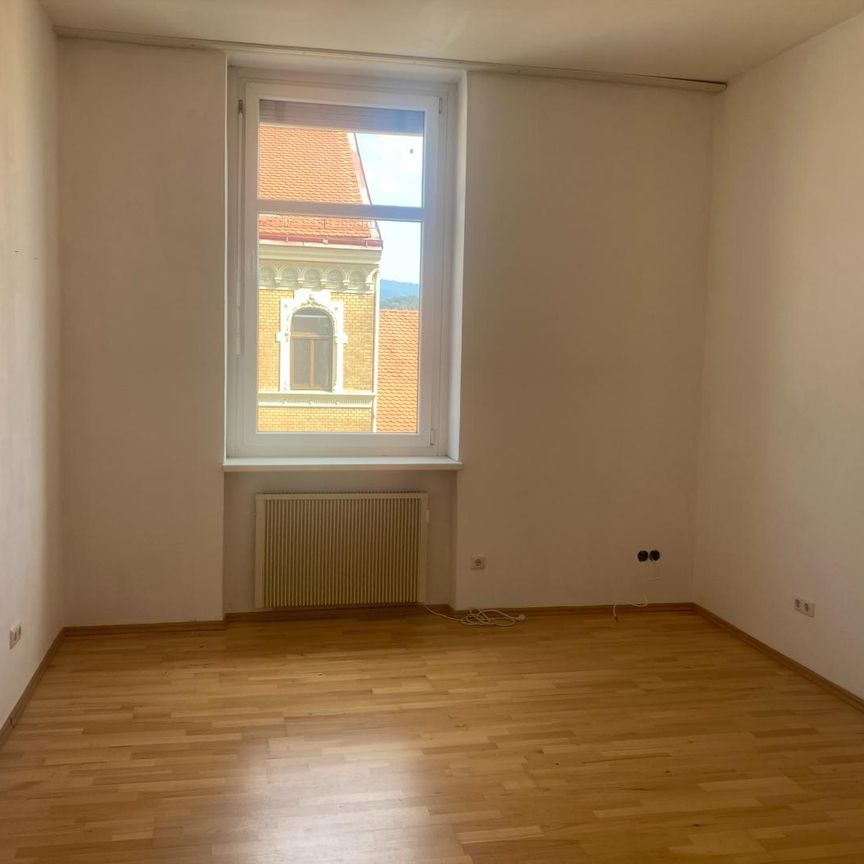 Ideale 3er WG Wohnung zur Miete im Annenviertel - Photo 1