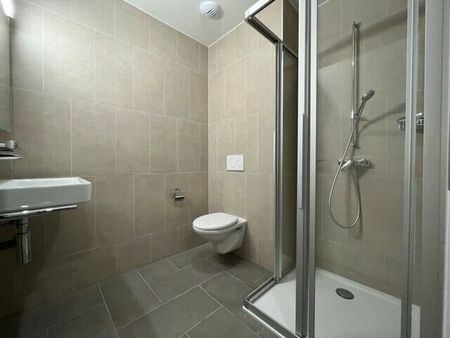 LE TICLE : Appartements neufs à louer - Photo 3