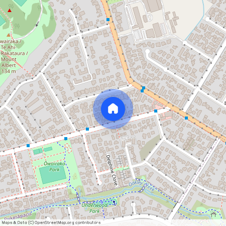 23a Owairaka Avenue, Mount Albert, Auckland City