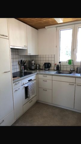 "Gemütlich Wohnen an der Reussinsel!" - Foto 3