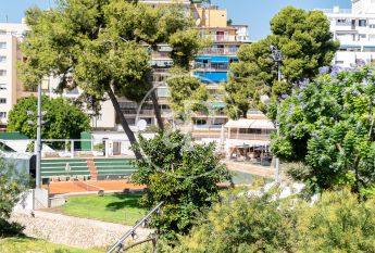 Apartment for rent in Santa Catalina