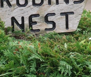 Robin’s Nest, Chapel Lane, Mareham Le Fen - Photo 5