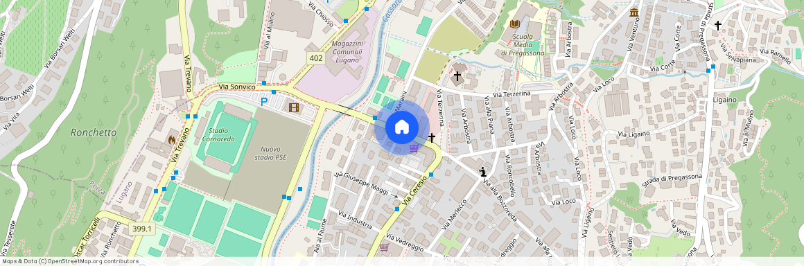 6963, Pregassona, Via Alla Bozzoreda