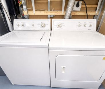 For Lease - 41 Horstman Street Unit# BSMT, Markham, Ontario - Photo 6