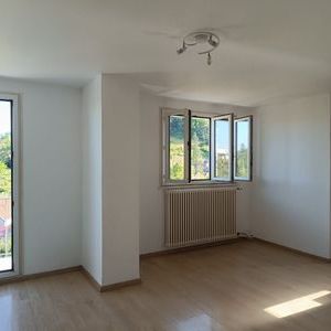 À louer / Appartement F2 / BESANCON CHALEZEULE 49 rue de Chalezeule - Photo 1