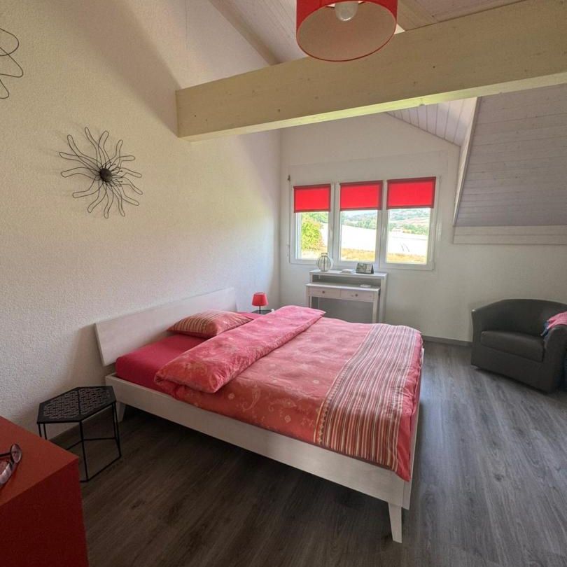 Magfnifique appartement mansardé de 3,5 pièces avec hauts plafonds, situé à Mathod. - Photo 1